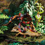 Exo Terra Crânio de crocodilo Decoração para terrários, , large Indicador imagem número 3